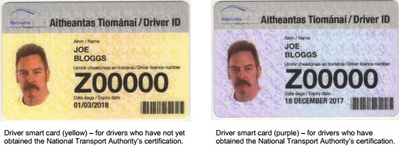 SPSV_taxi_licence_example